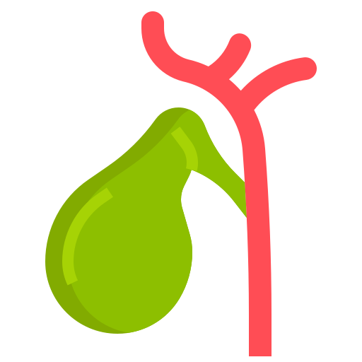 gallbladder